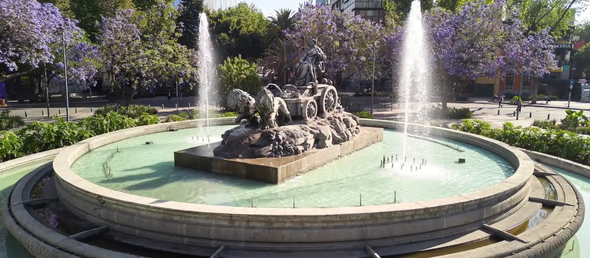 The Quiet of Roma Norte